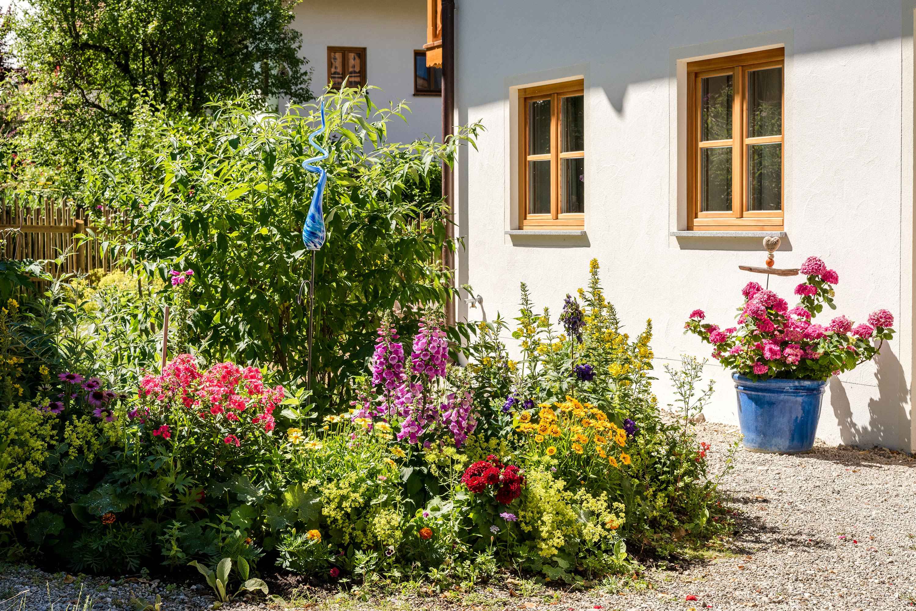 Blumen im Garten Wiese Hauseingang